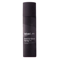 HOLD & gloss SPRAY - LABEL.M