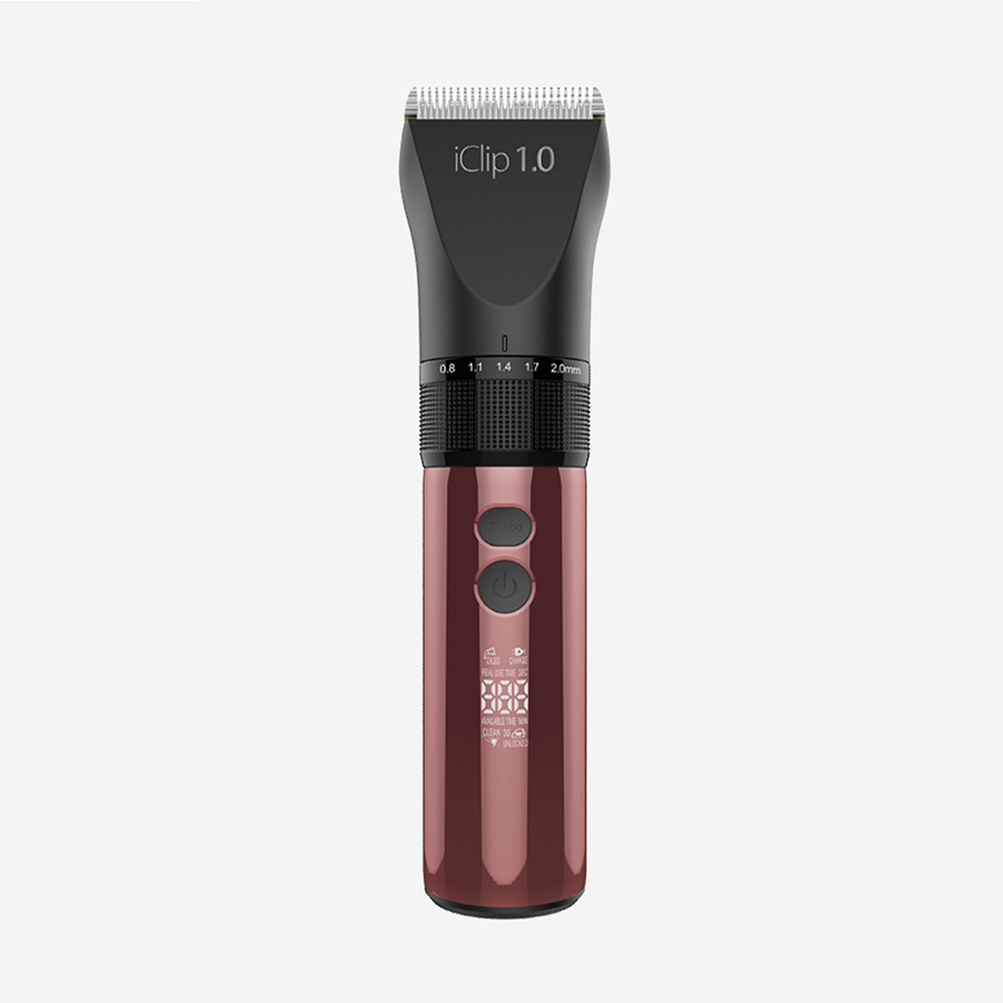 iClip 1.0 GIUBRA Frizieru piederumi