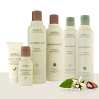 Romero y menta y Shampure - AVEDA